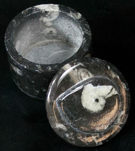 Small Fossil Goniatite Jar (Black) - Stoneware #18002